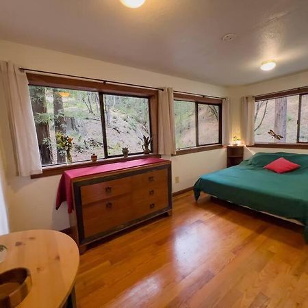 Little House In The Redwoods With A Hot Tub! Apartment Garberville Ngoại thất bức ảnh
