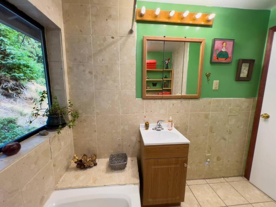Little House In The Redwoods With A Hot Tub! Apartment Garberville Ngoại thất bức ảnh