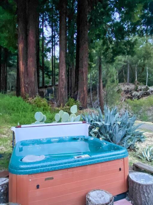 Little House In The Redwoods With A Hot Tub! Apartment Garberville Ngoại thất bức ảnh