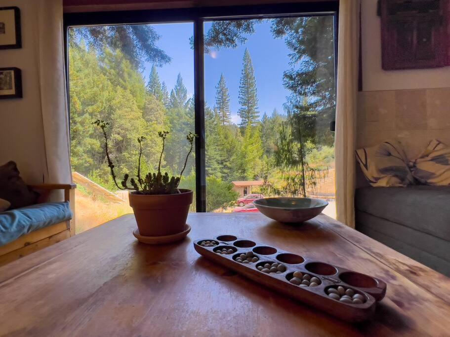 Little House In The Redwoods With A Hot Tub! Apartment Garberville Ngoại thất bức ảnh