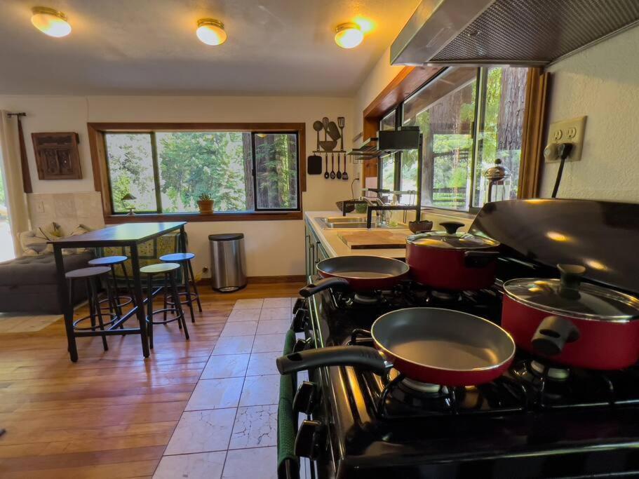 Little House In The Redwoods With A Hot Tub! Apartment Garberville Ngoại thất bức ảnh